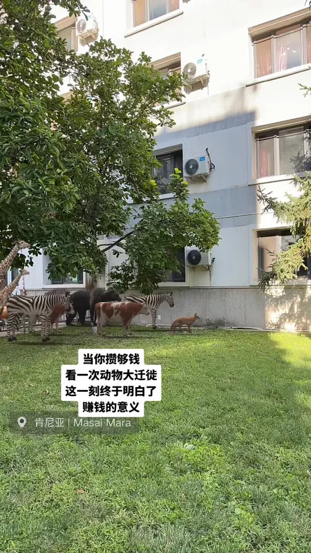 动物大迁徙我也看上啦