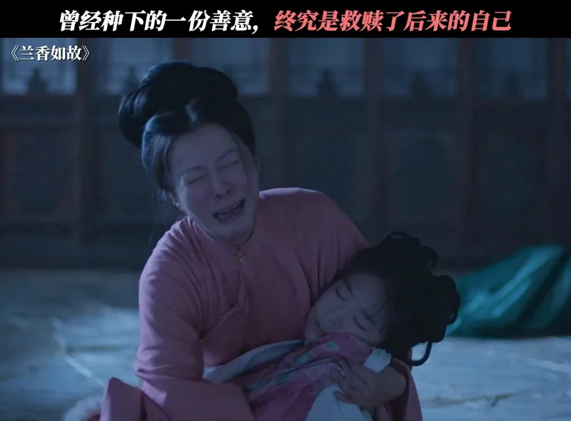 兰香如故第一集好刀