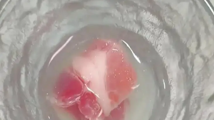 请时刻提醒自己是“一块生肉”