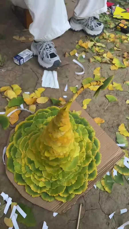 是秋天的魔法帽呀