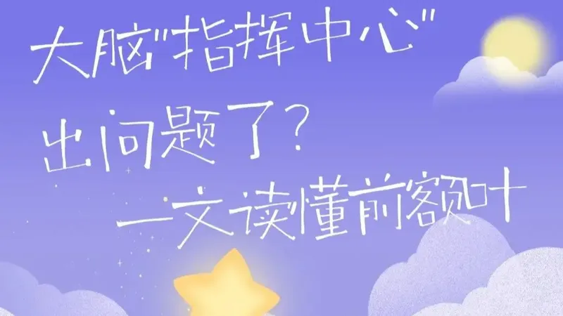 请尊重一下你的前额叶