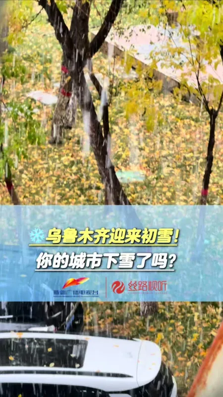乌鲁木齐迎来初雪