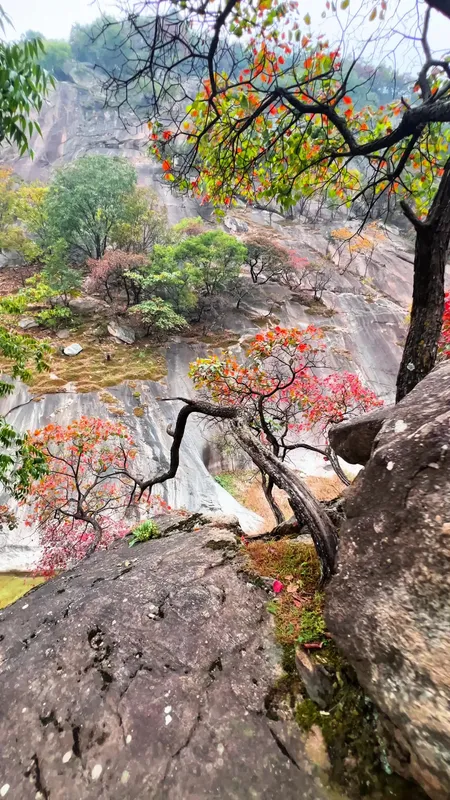 秋日山野漫游