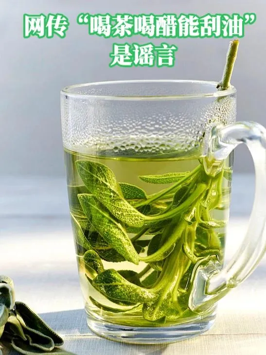 “喝醋能刮油”不实