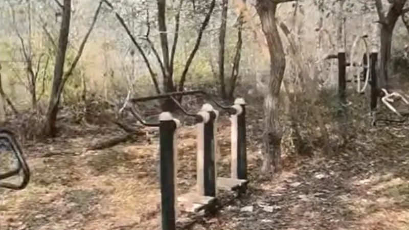 荒郊野地安装健身器材 这不是摆设吗