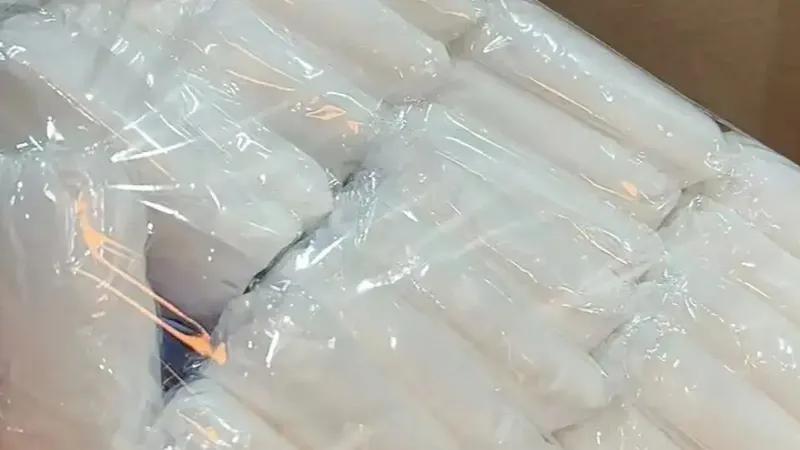 一次性内裤终于有了“底”线