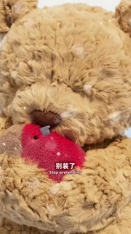 人类为什么喜欢毛茸茸