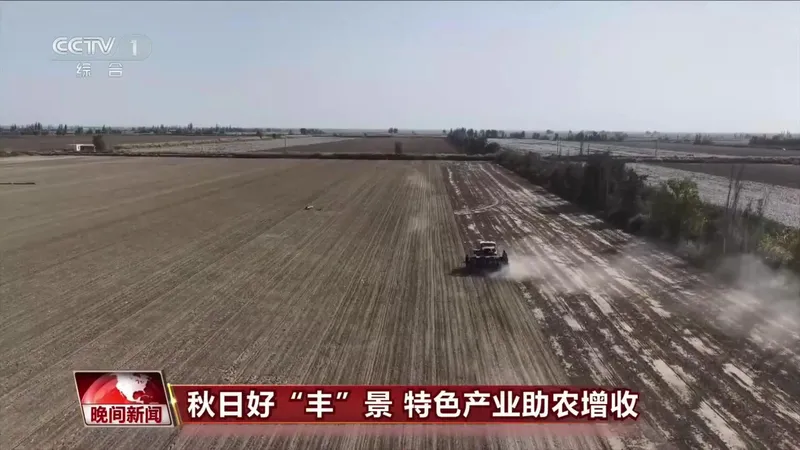 全国秋粮大面积收获进行时
