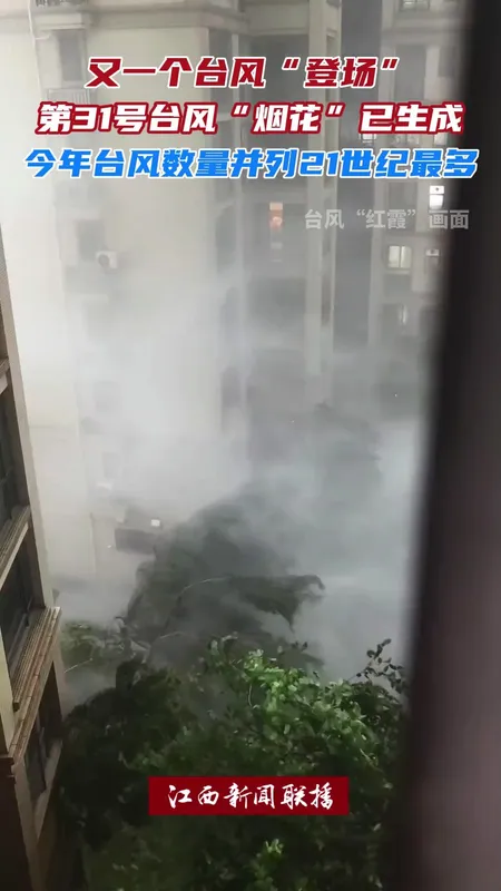 第31号台风烟花已生成