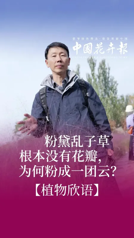 大自然的秋天进度更新了