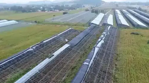 央视曝投资1.2亿项目仅建5个棚