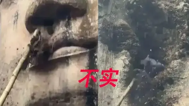 工人给乐山大佛掏耳朵鼻孔系AI生成