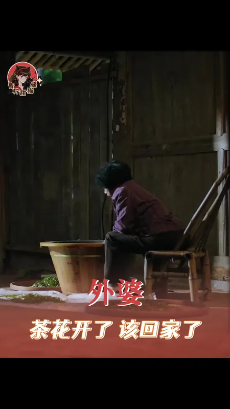 听完这首茶花开了好想家
