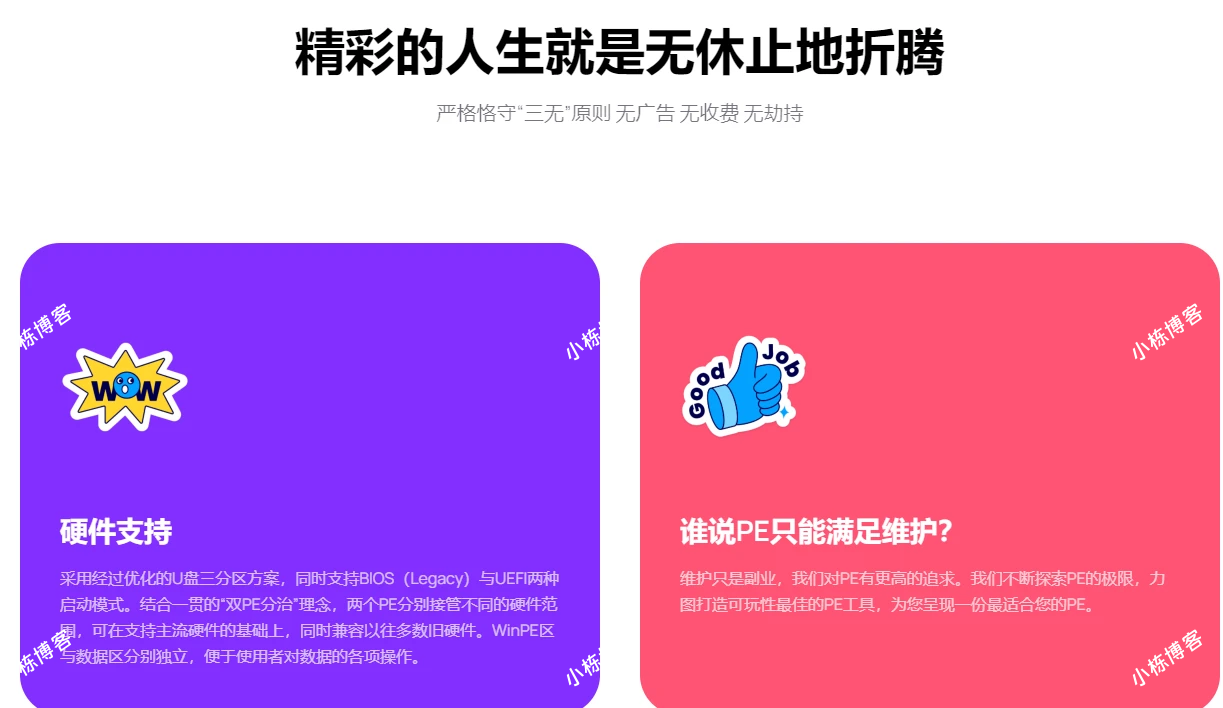 RoguePE 纯净 PE 系统